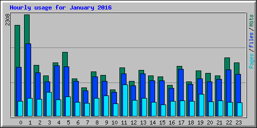 Hourly usage for January 2016