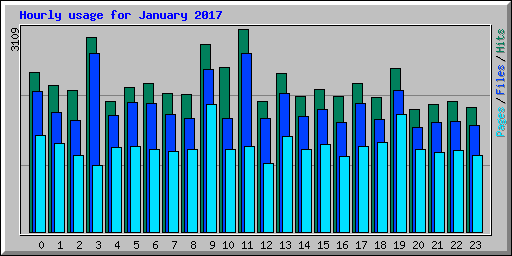 Hourly usage for January 2017