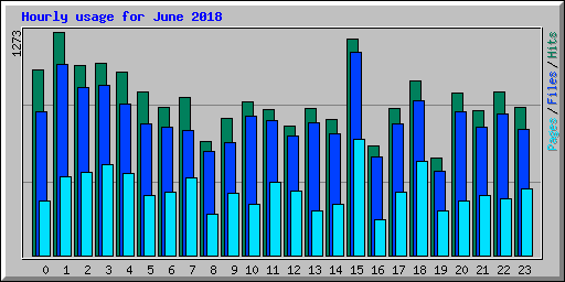 Hourly usage for June 2018