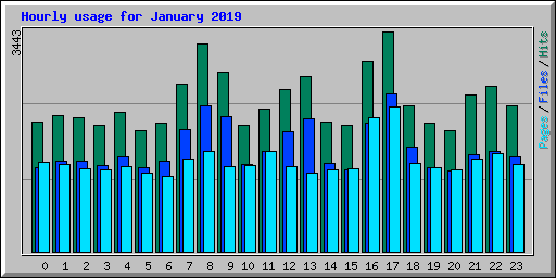 Hourly usage for January 2019