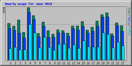 Hourly usage for June 2019