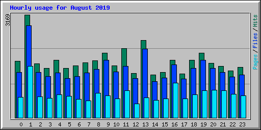 Hourly usage for August 2019