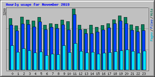 Hourly usage for November 2019