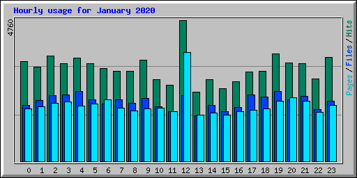 Hourly usage for January 2020