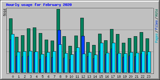 Hourly usage for February 2020