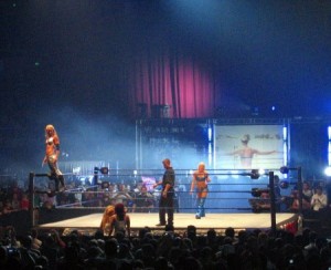 wwe-smackdown-sydney-divas-1